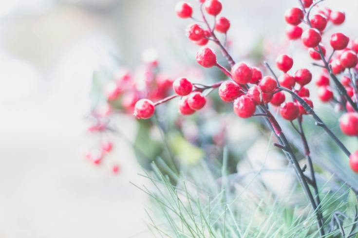 A Letter From George – 2025&nbsp;Holiday